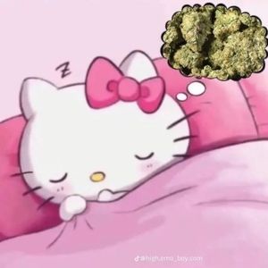 Meet your Posher, Jasper